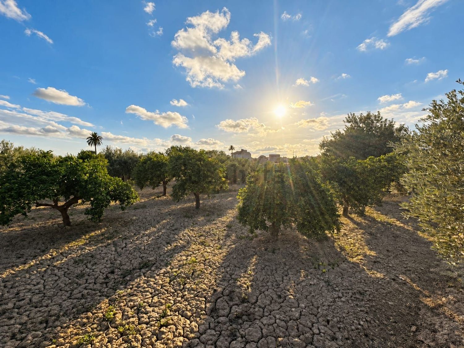 Finca rústica de 8.035 m² con agua y luz en Mutxamel - foto 5