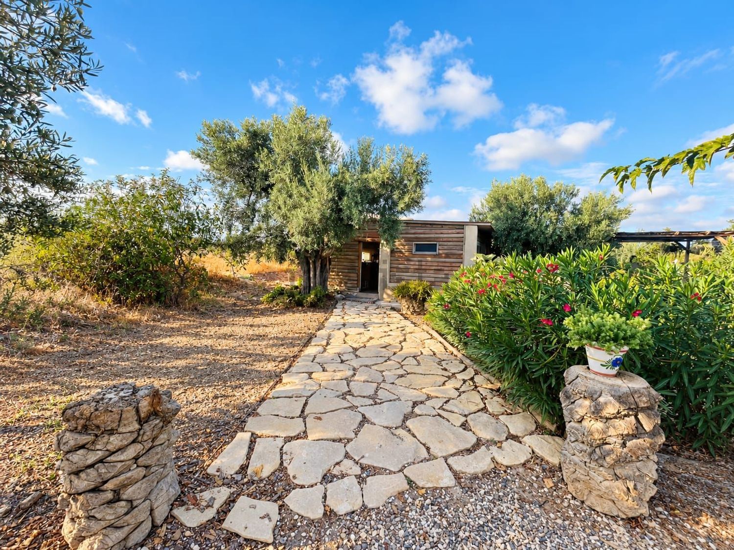 Finca rústica de 8.035 m² con agua y luz en Mutxamel - foto 8